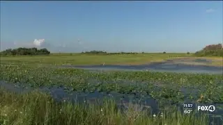EPA grants Florida wetlands permitting authority; environmentalists oppose