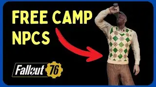 Best Camp Spots With Friendly NPCs You Need To Try!