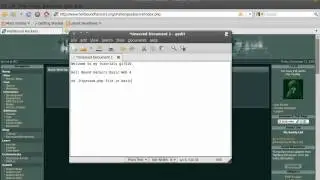 Hell Bound Hackers Web Basic 4