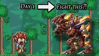 Terraria, но я начинаю после Moon Lord.