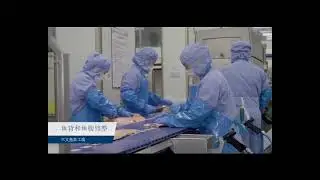 salmon fish processing line,contact：whatsupp 8613122871709