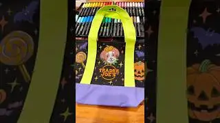 Painting a Trader Joe&rsquo;s Halloween Mini Tote 🎨🐶🎃 #shuperfun #painting #traderjoes #halloween