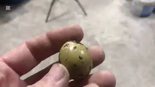 Маленькие шаги на большой дороге