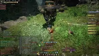 BDO- Olun's Valley Quturan's Right Lung