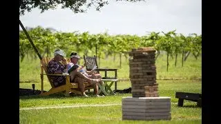 Homegrown: Good times at abound Summer Crush Vineyard & Winery in St. Lucie County