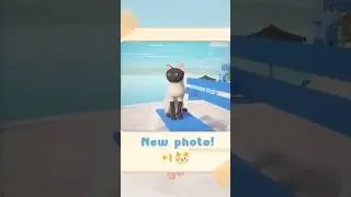 Эта игра &mdash; кошачий рай 🐱✨ / SnapCat: Уютное приключение Мии #cozygamer #cozygaming