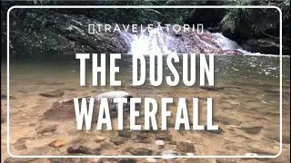 ASMR - Waterfall in the Tropical Rainforest Mount Berembun / Gunung Berembun (Relaxing Nature)