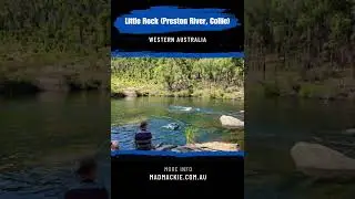 Little Rock Collie (Preston River), Western Australia