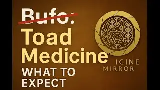 Toad Medicine: What to Expect