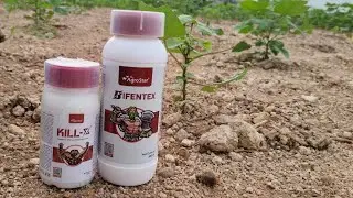Agrostar Kill-Xand Bifentex//#agro #agrostarapp #viral #agriculture &lrm;⁨@agrostarindia⁩&nbsp; MBL9618364106