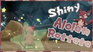 Shiny Alolan Rattata after 3658 trades in LGE!