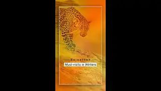 Winter Destinations of Rajasthan