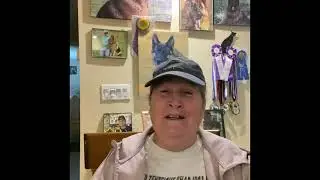 Southernwindk9 and Family Team Question and Answers