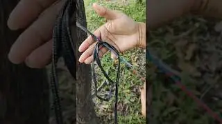 tree strap + Becket hitch + crazy chain + carabiner