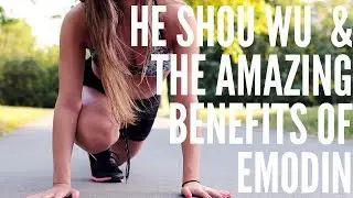 He Shou Wu & The Amazing Benefits of Emodin