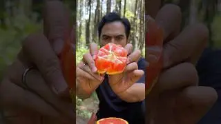 How to eat a sunkist 🍊 #camping #lifehacks #orange #outdoors