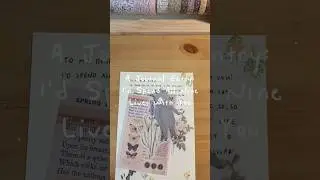 A Journal Entry: I&rsquo;d Spend All Nine Lives With You 🐈 #art #arttherapy #journal #journaling #craft