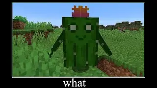 Minecraft wait what meme part 88 (Spike)