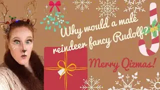 Merry Quizmas and Happy Painting by Numbers