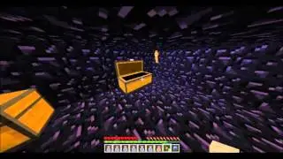 Minecraft RAID: IRON PROT 4?