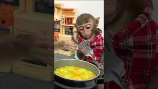 monkey mixes egg with chopped carrots and string beans to make a delicious fried egg #monkey