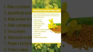 10 Benef&iacute;cios Incr&iacute;veis da Mostarda para &agrave; Sa&uacute;de