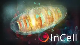 InCell VR (Cardboard) - Trailer