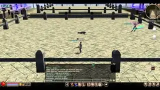 Nyka vs  Seneslau metin2.us Tournament pvp