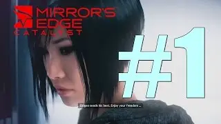 Mirror's Edge Catalyst The Combat Echo Mod Gameplay Walkthrough Part 1