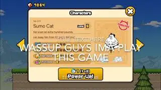 Reaching 1,200,000 score on pogo go go cat!