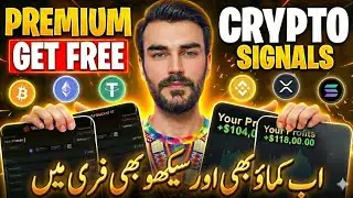How to Join Premium Crypto Signals Discord Group for FREE (2026) | Lifetime Access Method