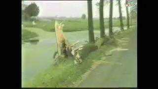 Nieuwland en Meerkerk  Grote stormschade 1986