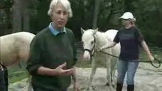 HARPS Лошади для усыновления, часть 1