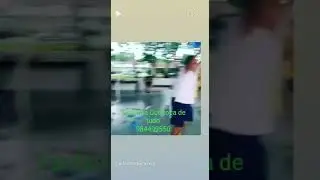 fanfarra as melhores marchinhas de carnaval 2023