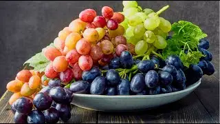 GROWING ORGANIC GRAPES