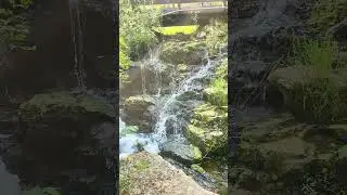 Cox Lake Governor Dodge State Park #zen #water #waterfall