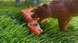 Cartoon video 🐅tiger and Bhalu 🐻￼￼￼ jungle for animal 😱😱😱￼
