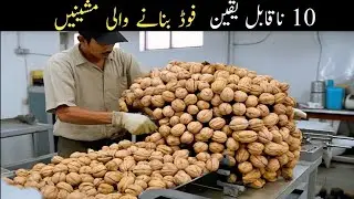 10 Amazing Food Processing Machine | دنیا کی 10 حیرت انگیز فوڈ پروسیسنگ مشینیں