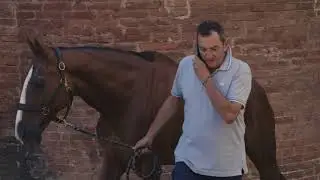 La Lupa si prepara al giro della vittoria - Palio 16 agosto 2018