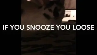 If you snooze you loose - blub video eps #1