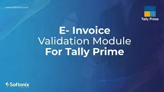 E Invoice Validation Module For Tally Prime