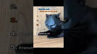 Iconic cat memes #funny #ranking #memes #cats #shorts #catsoftiktok #catshorts
