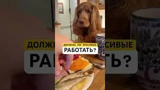 ВАЖНОЕ ПРАВИЛО ЖИЗНИ! Согласны? #красота #собака #правилажизни