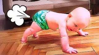 The Best Funny Babies on the Internet! - Funny Baby Videos