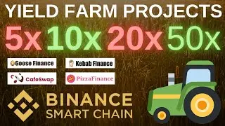 YIELD FARM PROJECTS || BINANCE SMART CHAIN || RISKS vs REWARDS || GOOSE PIZZA CAFESWAP KEBAB
