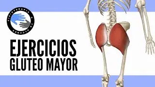 Los 5 mejores ejercicios para trabajar el gluteo mayor