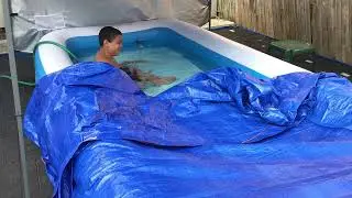 Review of POOLWHALE Heavy Duty Swimming Pool Leaf Net Skimmer