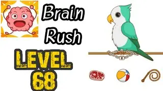 Brain Rush Level 68 Gameplay Solution