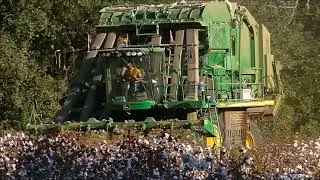 FOUR CP690 COTTON PICKERS HARVESTING COTTON. PGC FARMS 2017 COTTON HARVEST PT1