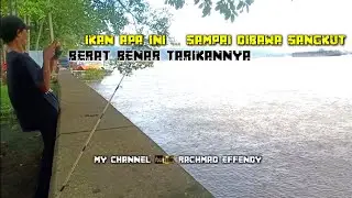 MANCING IKAN BAUNG SUNGAI MAHAKAM KOTA SAMARINDA || ADA ANAK IKAN PATIN
